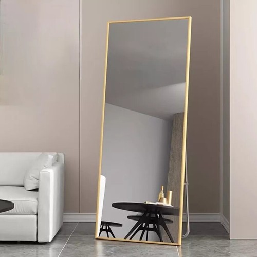 Metal frame full length mirror - frame,